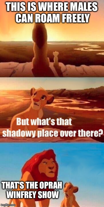 Simba Shadowy Place Meme | THIS IS WHERE MALES CAN ROAM FREELY THAT'S THE OPRAH WINFREY SHOW | image tagged in memes,simba shadowy place | made w/ Imgflip meme maker