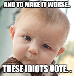 Skeptical Baby Meme | AND TO MAKE IT WORSE.. THESE IDIOTS VOTE. . | image tagged in memes,skeptical baby | made w/ Imgflip meme maker