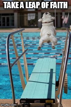 TAKE A LEAP OF FAITH | image tagged in pooldog,inspiration,leap,faith | made w/ Imgflip meme maker