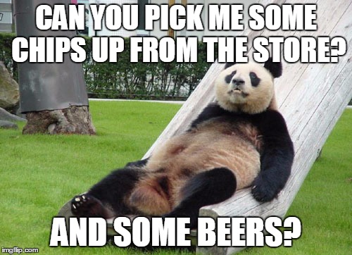 CAN YOU PICK ME SOME CHIPS UP FROM THE STORE? AND SOME BEERS? | image tagged in lazy panda | made w/ Imgflip meme maker