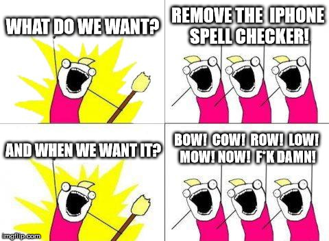 What Do We Want Meme | WHAT DO WE WANT? REMOVE THE  IPHONE SPELL CHECKER! AND WHEN WE WANT IT? BOW!  COW!  ROW!  LOW! MOW! NOW!  F*K DAMN! | image tagged in memes,what do we want | made w/ Imgflip meme maker
