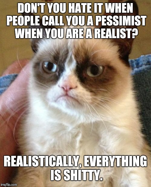Grumpy Cat | DON'T YOU HATE IT WHEN PEOPLE CALL YOU A PESSIMIST WHEN YOU ARE A REALIST? REALISTICALLY, EVERYTHING IS SHITTY. | image tagged in memes,grumpy cat | made w/ Imgflip meme maker