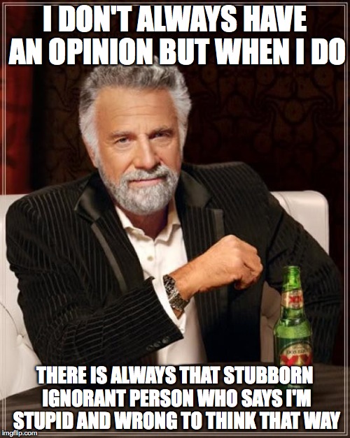 The Most Interesting Man In The World | I DON'T ALWAYS HAVE AN OPINION BUT WHEN I DO THERE IS ALWAYS THAT STUBBORN IGNORANT PERSON WHO SAYS I'M STUPID AND WRONG TO THINK THAT WAY | image tagged in memes,the most interesting man in the world | made w/ Imgflip meme maker