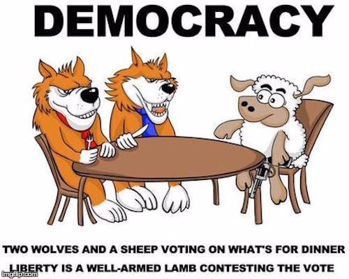 . | image tagged in democracy | made w/ Imgflip meme maker
