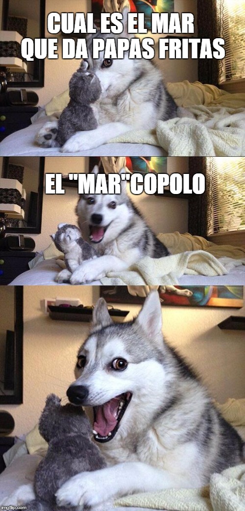 Bad Pun Dog Meme | CUAL ES EL MAR QUE DA PAPAS FRITAS EL "MAR"COPOLO | image tagged in memes,bad pun dog | made w/ Imgflip meme maker