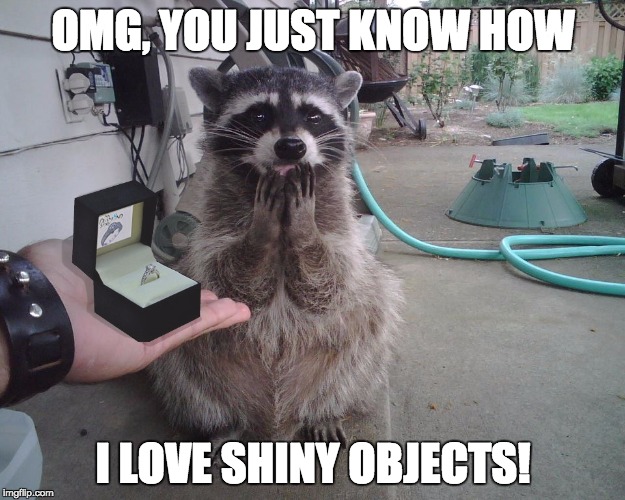 OMG, YOU JUST KNOW HOW I LOVE SHINY OBJECTS! | image tagged in raccoons love shiny objects | made w/ Imgflip meme maker