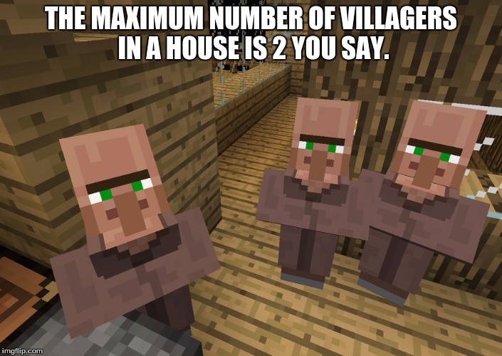 Spawn Logic Has Gone Down The Drain | THE MAXIMUM NUMBER OF VILLAGERS IN A HOUSE IS 2 YOU SAY. | image tagged in minecraft villagers | made w/ Imgflip meme maker
