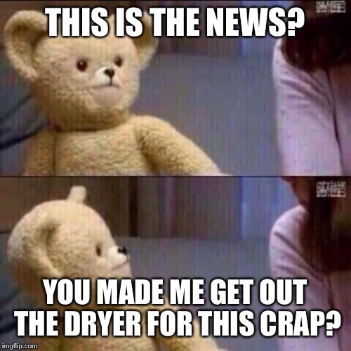 shocked bear | THIS IS THE NEWS? YOU MADE ME GET OUT THE DRYER FOR THIS CRAP? | image tagged in shocked bear | made w/ Imgflip meme maker