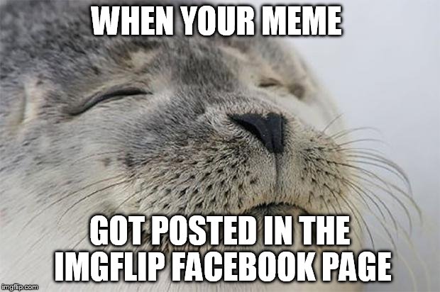 Satisfied Seal Meme | WHEN YOUR MEME GOT POSTED IN THE IMGFLIP FACEBOOK PAGE | image tagged in memes,satisfied seal | made w/ Imgflip meme maker