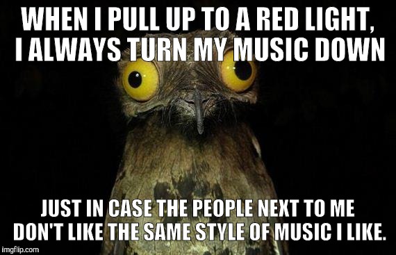 Weird Stuff I Do Potoo Meme | WHEN I PULL UP TO A RED LIGHT, I ALWAYS TURN MY MUSIC DOWN JUST IN CASE THE PEOPLE NEXT TO ME DON'T LIKE THE SAME STYLE OF MUSIC I LIKE. | image tagged in memes,weird stuff i do potoo | made w/ Imgflip meme maker