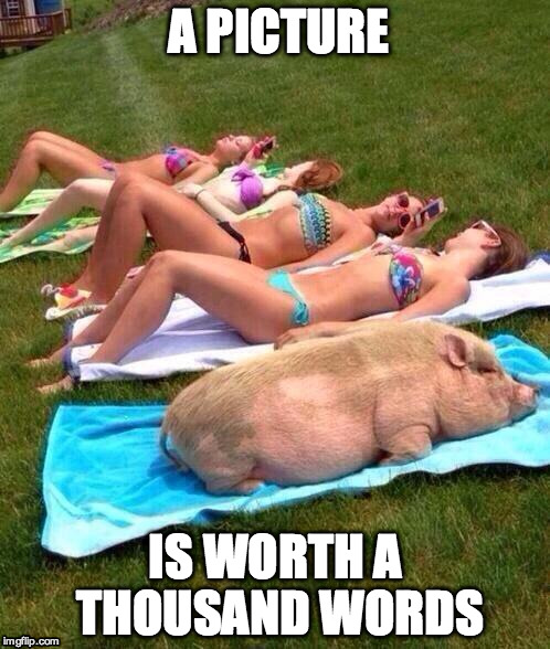 pig girls | A PICTURE IS WORTH A THOUSAND WORDS | image tagged in pig girls | made w/ Imgflip meme maker