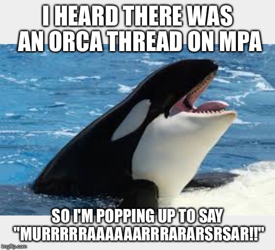 I HEARD THERE WAS AN ORCA THREAD ON MPA SO I'M POPPING UP TO SAY "MURRRRRAAAAAARRRARARSRSAR!!" | made w/ Imgflip meme maker