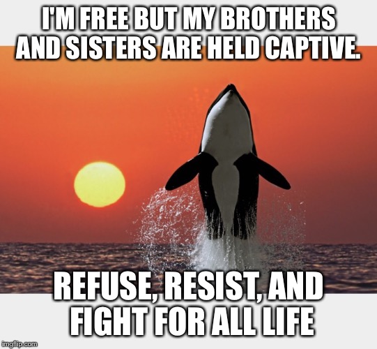 I'M FREE BUT MY BROTHERS AND SISTERS ARE HELD CAPTIVE. REFUSE, RESIST, AND FIGHT FOR ALL LIFE | made w/ Imgflip meme maker