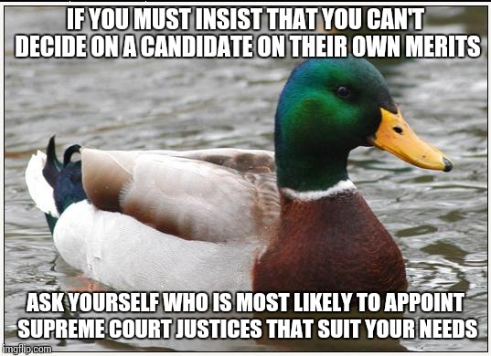 Actual Advice Mallard | IF YOU MUST INSIST THAT YOU CAN'T DECIDE ON A CANDIDATE ON THEIR OWN MERITS ASK YOURSELF WHO IS MOST LIKELY TO APPOINT SUPREME COURT JUSTICE | image tagged in memes,actual advice mallard | made w/ Imgflip meme maker