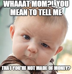 Skeptical Baby | WHAAAT MOM?!, YOU MEAN TO TELL ME THAT YOU'RE NOT MADE OF MONEY? | image tagged in memes,skeptical baby | made w/ Imgflip meme maker
