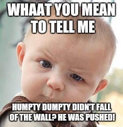 Skeptical Baby Meme | WHAAT YOU MEAN TO TELL ME HUMPTY DUMPTY DIDN'T FALL OF THE WALL? HE WAS PUSHED! | image tagged in memes,skeptical baby | made w/ Imgflip meme maker