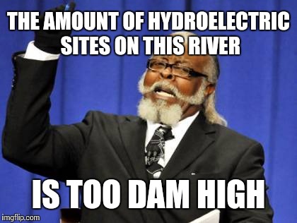 Too Damn High Meme | THE AMOUNT OF HYDROELECTRIC SITES ON THIS RIVER IS TOO DAM HIGH | image tagged in memes,too damn high | made w/ Imgflip meme maker