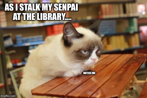 Grumpy Cat Table | AS I STALK MY SENPAI AT THE LIBRARY.... NOTICE ME | image tagged in memes,grumpy cat table | made w/ Imgflip meme maker