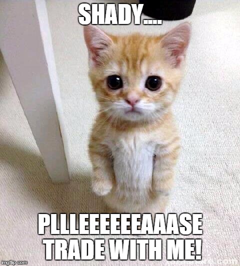 Cute Cat Meme | SHADY.... PLLLEEEEEEAAASE TRADE WITH ME! | image tagged in memes,cute cat | made w/ Imgflip meme maker