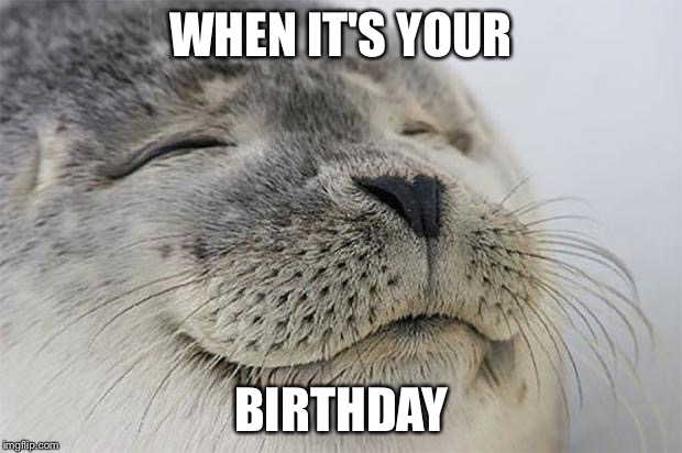 Satisfied Seal | WHEN IT'S YOUR BIRTHDAY | image tagged in memes,satisfied seal | made w/ Imgflip meme maker