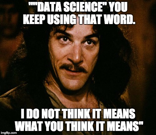 ""DATA SCIENCE" YOU KEEP USING THAT WORD. I DO NOT THINK IT MEANS WHAT YOU THINK IT MEANS" | image tagged in princess bride | made w/ Imgflip meme maker