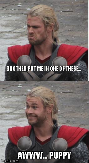 Thor | BROTHER PUT ME IN ONE OF THESE... AWWW... PUPPY | image tagged in thor | made w/ Imgflip meme maker