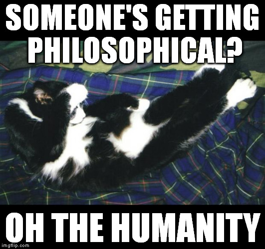 oh the humanity | SOMEONE'S GETTING PHILOSOPHICAL? OH THE HUMANITY | image tagged in oh the humanity | made w/ Imgflip meme maker