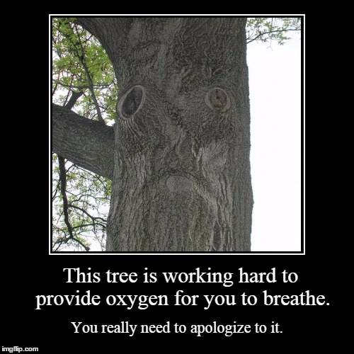 Tree Sad. | image tagged in funny,demotivationals | made w/ Imgflip demotivational maker