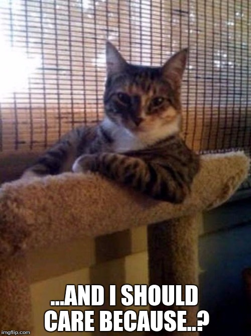cats | ...AND I SHOULD CARE BECAUSE..? | image tagged in cats | made w/ Imgflip meme maker