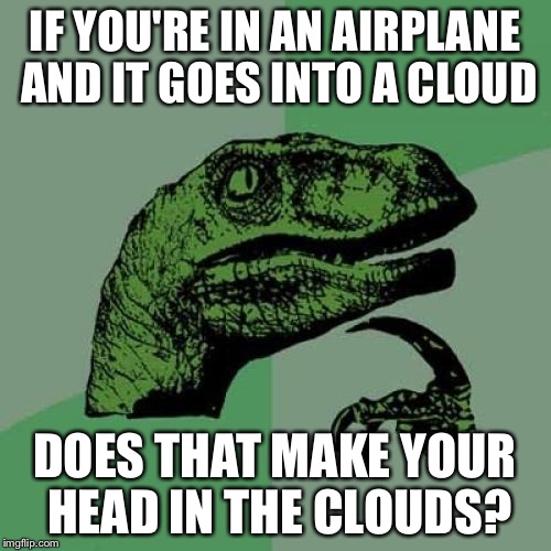 Philosoraptor Meme | IF YOU'RE IN AN AIRPLANE AND IT GOES INTO A CLOUD DOES THAT MAKE YOUR HEAD IN THE CLOUDS? | image tagged in memes,philosoraptor | made w/ Imgflip meme maker
