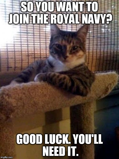 The Most Interesting Cat In The World Meme | SO YOU WANT TO JOIN THE ROYAL NAVY? GOOD LUCK. YOU'LL NEED IT. | image tagged in memes,the most interesting cat in the world | made w/ Imgflip meme maker