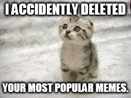 Sad Cat Meme | I ACCIDENTLY DELETED YOUR MOST POPULAR MEMES. | image tagged in memes,sad cat | made w/ Imgflip meme maker