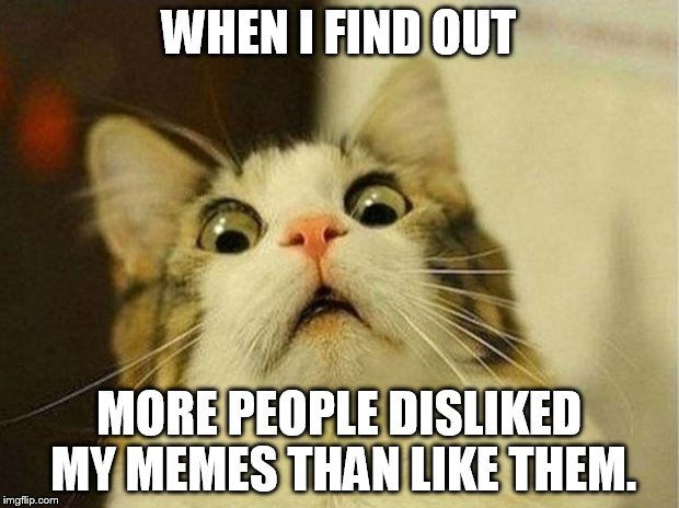 Scared Cat Meme | WHEN I FIND OUT MORE PEOPLE DISLIKED MY MEMES THAN LIKE THEM. | image tagged in memes,scared cat | made w/ Imgflip meme maker