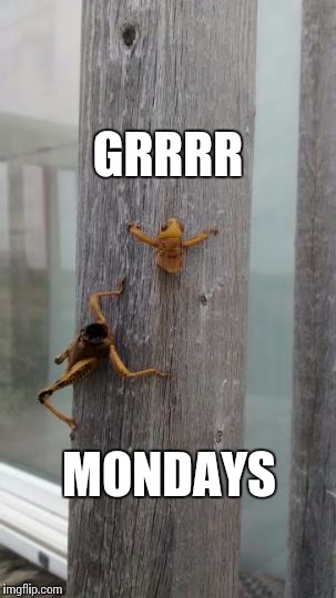 GRRRR MONDAYS | image tagged in sliced grasshopper | made w/ Imgflip meme maker