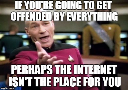 Picard Wtf Meme | IF YOU'RE GOING TO GET OFFENDED BY EVERYTHING PERHAPS THE INTERNET ISN'T THE PLACE FOR YOU | image tagged in memes,picard wtf | made w/ Imgflip meme maker
