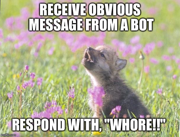 Baby Insanity Wolf Meme | RECEIVE OBVIOUS MESSAGE FROM A BOT RESPOND WITH, "W**RE!!" | image tagged in memes,baby insanity wolf | made w/ Imgflip meme maker