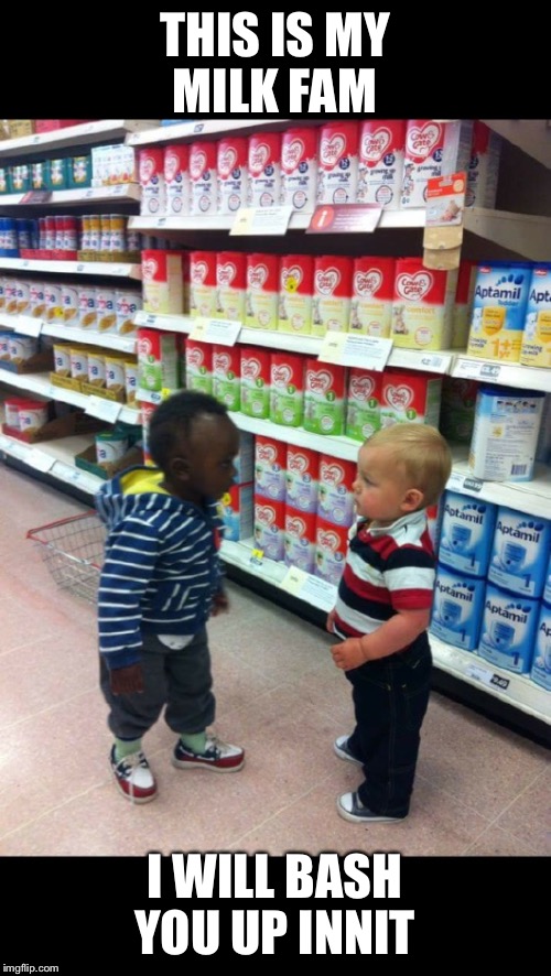 Fight in the milk shop | THIS IS MY MILK FAM I WILL BASH YOU UP INNIT | image tagged in kid fight,right in the childhood | made w/ Imgflip meme maker