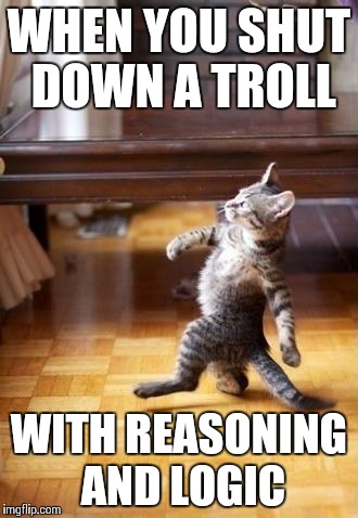 Like That'll Ever Happen | WHEN YOU SHUT DOWN A TROLL WITH REASONING AND LOGIC | image tagged in memes,cool cat stroll | made w/ Imgflip meme maker