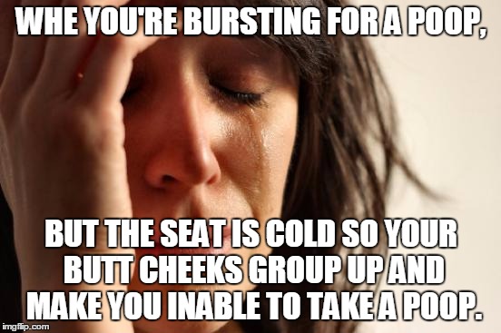 Que The Sad Violins! | WHE YOU'RE BURSTING FOR A POOP, BUT THE SEAT IS COLD SO YOUR BUTT CHEEKS GROUP UP AND MAKE YOU INABLE TO TAKE A POOP. | image tagged in memes,first world problems | made w/ Imgflip meme maker