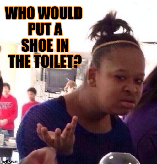 Waste of good wood. | WHO WOULD PUT A SHOE IN THE TOILET? | image tagged in memes,black girl wat | made w/ Imgflip meme maker