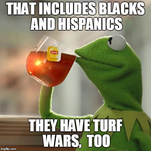 But That's None Of My Business Meme | THAT INCLUDES BLACKS AND HISPANICS THEY HAVE TURF WARS,  TOO | image tagged in memes,but thats none of my business,kermit the frog | made w/ Imgflip meme maker