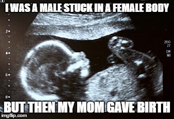 I WAS A MALE STUCK IN A FEMALE BODY BUT THEN MY MOM GAVE BIRTH | image tagged in transgender | made w/ Imgflip meme maker