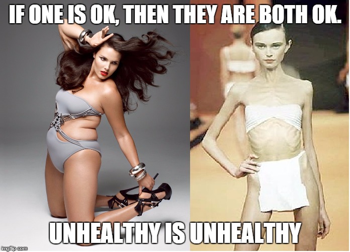 IF ONE IS OK, THEN THEY ARE BOTH OK. UNHEALTHY IS UNHEALTHY | image tagged in fat skinny models,fat,skinny,model | made w/ Imgflip meme maker