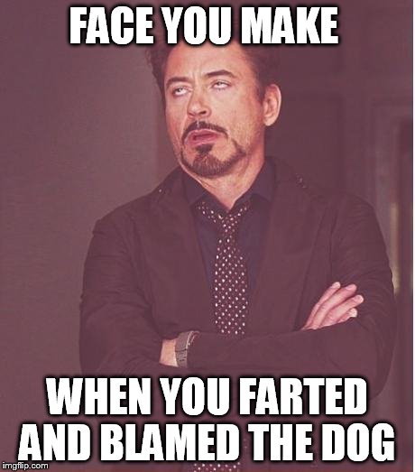 Face You Make Robert Downey Jr Meme | FACE YOU MAKE WHEN YOU FARTED AND BLAMED THE DOG | image tagged in memes,face you make robert downey jr | made w/ Imgflip meme maker
