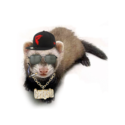 High Quality gangster ferret Blank Meme Template