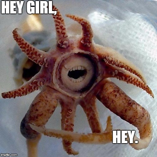 Party Squid | HEY GIRL, HEY. | image tagged in hey girl,ryan gosling,squid,you gottta be squidding me,teeth | made w/ Imgflip meme maker