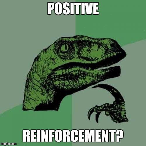 Philosoraptor Meme | POSITIVE REINFORCEMENT? | image tagged in memes,philosoraptor | made w/ Imgflip meme maker