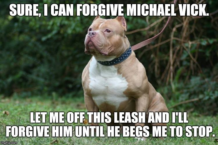 forgiving pit bull | image tagged in pit bull | made w/ Imgflip meme maker