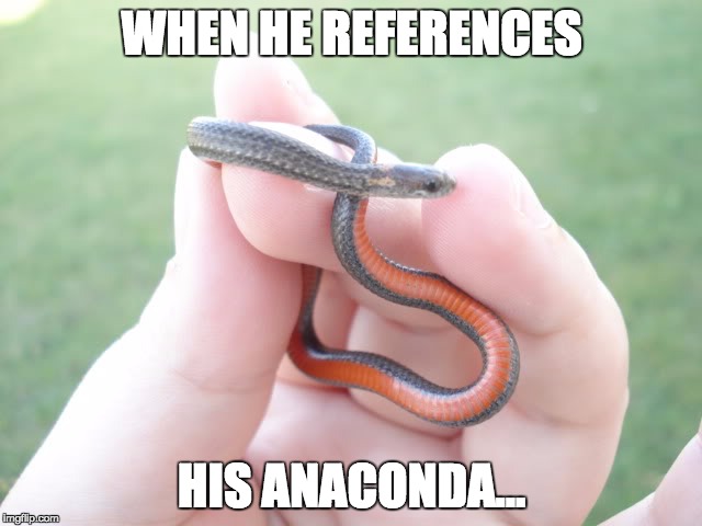 WHEN HE REFERENCES HIS ANACONDA... | image tagged in anaconda | made w/ Imgflip meme maker