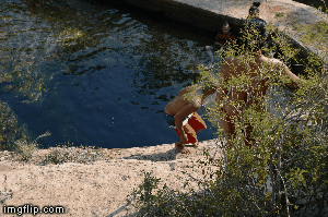 image tagged in gifs | made w/ Imgflip images-to-gif maker